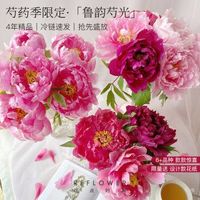 花点时间 鲜花云南昆明基地直发结婚纪念日生日礼物女送老婆山东芍药10枝-单色随机