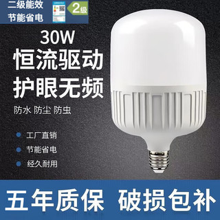 LED灯泡E27螺口B22 30W 6500K白光-E27(螺口)