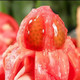 普罗旺斯沙瓤西红柿  5斤 约26枚