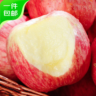 山东烟台红富士苹果净重7斤 单果170g+ 源头直发