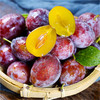 HYOJOO智利西梅新鲜水果精选当季时令水果礼盒装 精选智利西梅 5斤礼盒装