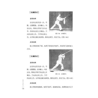 百家功夫丛书：太极功集粹 武术、太极拳、太极功、太极刀、太极剑、吴图南 北京科学技术