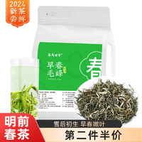 茶马世家 绿茶 2024新茶毛峰明前春茶 头春头采尝鲜茶叶自己喝袋装250g