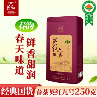 YINGHONG TEA 英红 牌 2023春茶英红九号红茶 有机茶叶 大份量罐装250g 自饮节日送礼