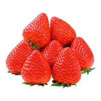 雪束 丹东99草莓 中果3斤（单果25-40g）