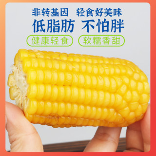 岳翠姑 玉米新鲜黄糯玉米棒2023现摘苞米甜玉米粒真空包装非即食早点代餐
