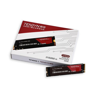 腾隐（TENGYIN） 精选长江存储晶圆台式机笔记本SSD固态硬盘PCIe4.0 NVMe 1TB TP4000 读速5000MB/S