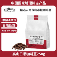 鹿家嘴 精品SOE咖啡豆250g 阿拉比卡中偏浅烘焙