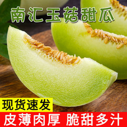 涵果 上海南汇玉菇甜瓜品种净9斤青皮绿肉密瓜水果新鲜当季