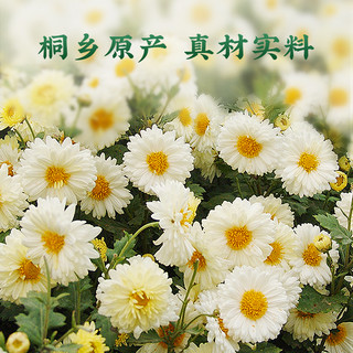 狮峰 牌杭白菊菊花茶桐乡搭胎菊金银花枸杞茶叶店100g