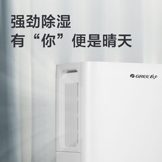 GREE 格力 除湿机抽湿机除湿器 家用智能控制 卧室客厅车库厂房干燥环境 12L/天 2-20㎡ DH12EOA2A