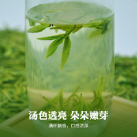 heantang 禾安堂 新茶叶龙井茶早春自己喝罐装大佛绿茶店