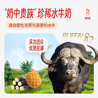 GRANDPA'S FARM原生高钙生牛乳珍稀-酪蛋白水牛纯牛奶125ml*9盒 5.0g蛋白/盒