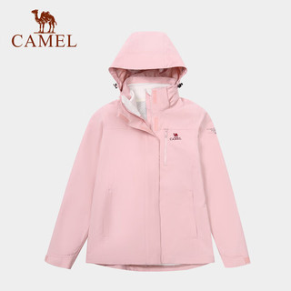 CAMEL 骆驼