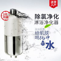 KOHLER 科勒 净水器随心雨淋浴净化器花洒过滤器R21812T-CP/21813