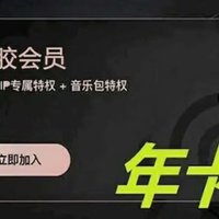 网易云音乐 会员年卡 12个月