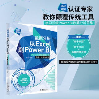 数据分析从Excel到Power BI：Power BI商业数据分析思维、技术与实践