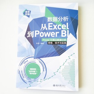 数据分析从Excel到Power BI：Power BI商业数据分析思维、技术与实践