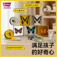 ONSHINE 童年无限 蝴蝶昆虫标本制作工具套装手工diy材料生物真虫原蝶琥珀儿童玩具
