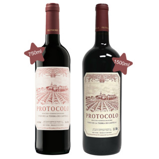 【酒云口碑爆款回归！RP亲评“TOP Value”！】Dominio de Eguren Protocolo Tinto 2021 750ml/ 1.5L自选套装