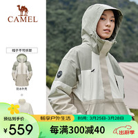 CAMEL 骆驼