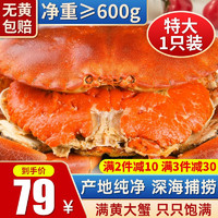 【爱尔兰】 渔游记 黄金面包蟹满黄 爱尔兰超大鲜活熟冻螃蟹 600g-800g/特大1只