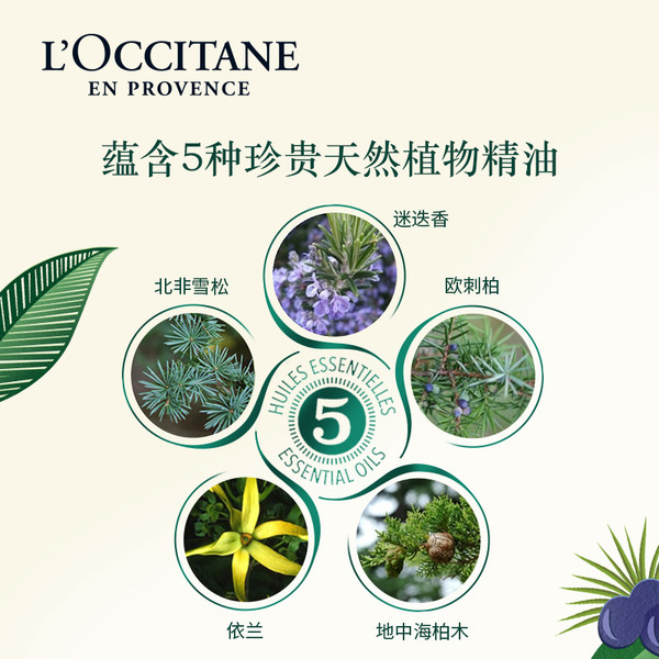 L'OCCITANE 欧舒丹 草本强韧丰盈洗护发套装 洗发露500ml+护发素500ml（赠 草本平衡洗发露 500ml+随机礼袋）