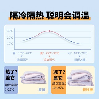 奶盖懒人被A类10%大豆纤维被 夏被1660g 200*230cm紫粉色