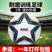 wade 5号儿童幼儿园比赛专用足球成人儿童中小学生训练比赛足球