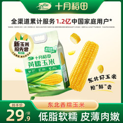 SHI YUE DAO TIAN 十月稻田 黄糯玉米 1.6kg