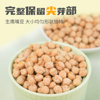 素养生活 有机鹰嘴豆650g罐装五谷杂粮非熟制打豆浆代餐粗粮
