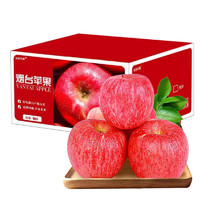 阳亦翠 烟台红富士苹果礼盒装 4.5kg铂金果 单果160-190g 新鲜苹果水果