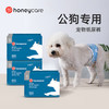 HONEYCARE狗狗纸尿裤公狗尿不湿尿片裤 M适用体重16-33kg/12片3包装