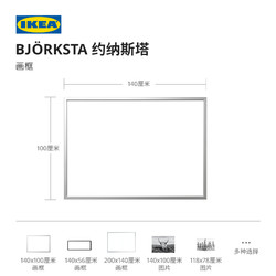 IKEA 宜家 约纳斯塔铝制画框多尺寸铝色黑色简约现代北欧风客厅用