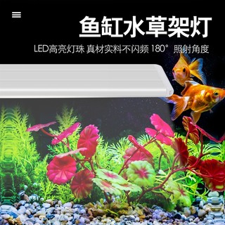 美悦宠物 鱼缸灯led灯水草灯爆藻灯防水造景水族箱草缸灯照明管夹灯通用 四排蓝白光/5W/灯长18cm 18-27cm鱼缸