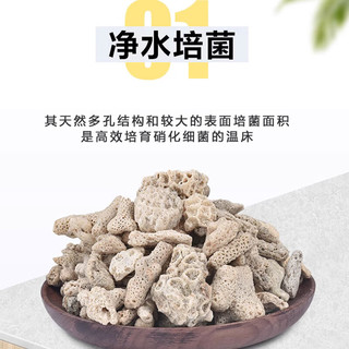 派乐特 鱼缸珊瑚骨滤材天然珊瑚石过滤培菌材料水族箱底砂造景平衡ph值 珊瑚骨1kg【颗粒1-10cm之间】