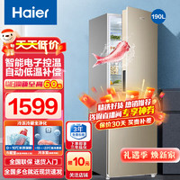 Haier 海尔 冰箱 双开门风冷无霜小型电冰箱节能迷你租房超薄家电智能 190升双门风冷无霜冰箱WDPT二级