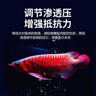 奈宠（NaiChong）水族观赏鱼盐鱼缸消毒杀菌盐鱼矿物盐海盐净水养鱼通用抗菌盐 【精品矿物白盐】2500g（约400颗）