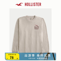 HOLLISTER 春夏美式印花休闲圆领柔软透气长袖T恤上衣 男 355833-1 棕色 L (180/108A)