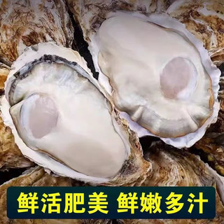 顺丰冷链！正宗！乳山生蚝 XXXL号 5.5斤装 （带官方溯源防伪标识、死蚝包赔）