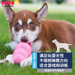 KONG 幼犬葫芦漏食球耐咬小型犬宠物解闷益智丰容慢食磨牙狗狗玩具