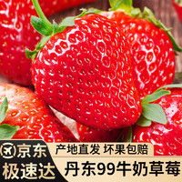 知鲜湾 草莓丹东99红颜奶油草莓牛奶当季新鲜水果特大果单果30g+