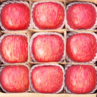 冰茜 洛川红富士苹果 特级品质10斤装 单果75-80mm+