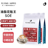 FLYING HIPPO 埃塞俄比亚花魁王SOE 日晒G1精品意式单品手冲咖啡豆250g*2
