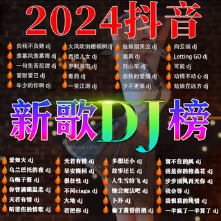 2024近期更新歌车载音乐u盘热门网络流行中文dj无损mp3优盘高清