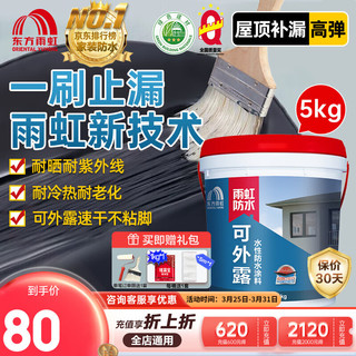 雨虹防水屋顶防水补漏材料经典-黑色 5kg