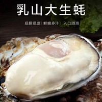 秒杀1000单！乳山生蚝 5XL特大号 5.5斤装 （带官方溯源防伪标识、死蚝包赔）