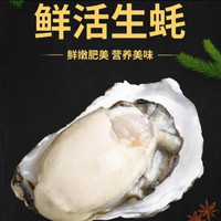 秒杀 1000单！乳山生蚝 XXXL号 5.5斤装 顺丰冷链（带官方溯源防伪标识、死蚝包赔）