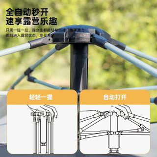 清系 全自动露营帐篷户外防晒防雨双人双层公园野外帐篷免搭建2-3人 两门两窗款【黑胶森林绿】