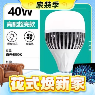 春焕新、家装季：金雨莱 LED灯泡 高配超亮款 40W E27螺口